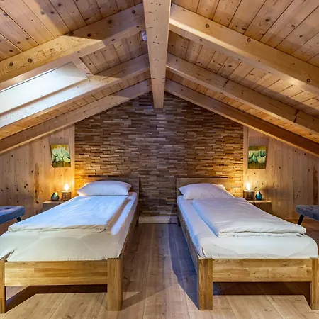 Chalet Chalet Venus By Interhome Chalet *